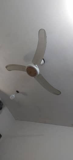 ceiling