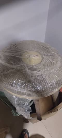 fan