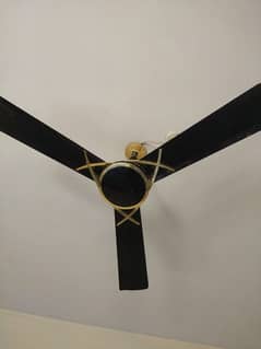 2fans