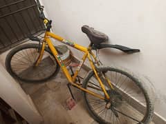 cycle