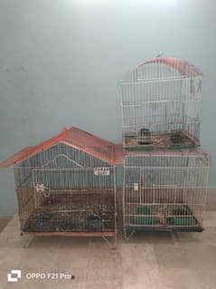 birds cage