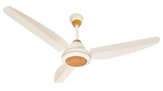 Royal Fan