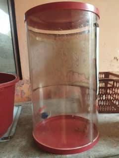 60 leters tank condition 10 by 10