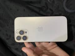 iPhone 13 Pro Max (fu) exchange possible