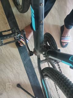 bicycle