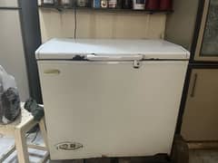 Waves Freezer