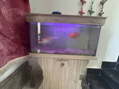 Aquarium