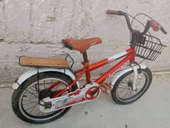 boy Cycles