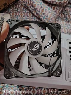 Casing
