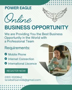 Online business opportunity