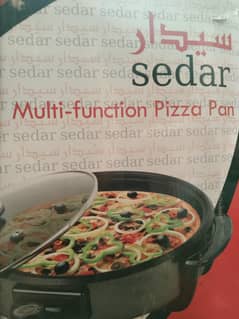 Electric Pizza Pan