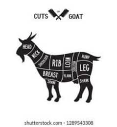 qurbani ka janwar zibah karway