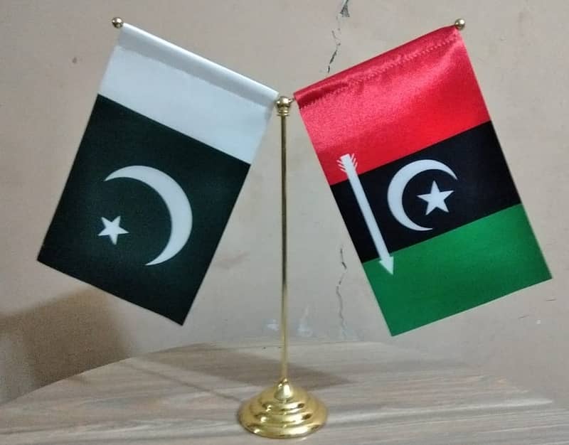 KPK Flag , All party Flag, PML Flag , PP P Flag , PTI FLAG from Lahore 10