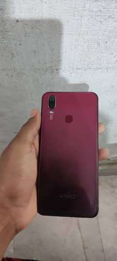 Vivo