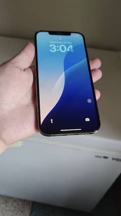 Iphone 12pro Max (512 GB)