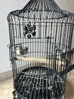 Raw Parrot Cage Available