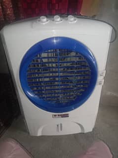 full size 03006649763