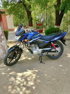 bikes