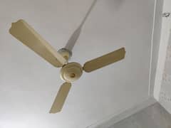 ceiling