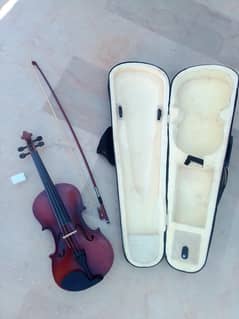 violins
