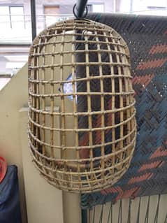 swing, cradle, jhula, jhola in good condition