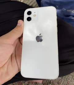 iphone 12.64 gb. condition 10 by 9. all geuine. no any fault.