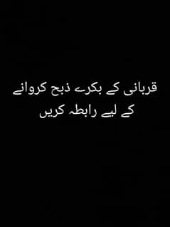 قربانی کے بکرے ذبح کروائے
