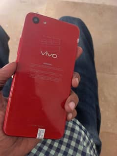 vivo