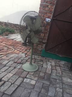 fan