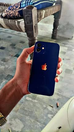 iPhone12   memory 64GB.   battery health83  iclud password nai yad ay