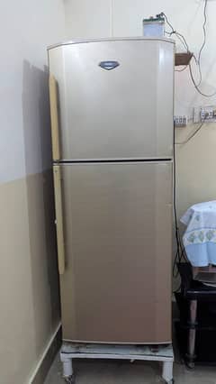 HAIER