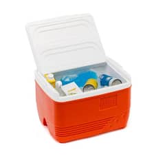Ice
