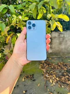 Sierra Blue 13 pro max non pta JV 256GB