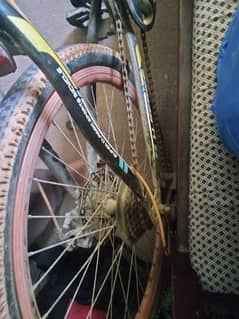 mountain bicycle