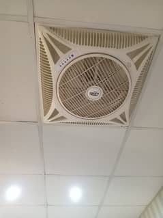 pair of ceiling fans