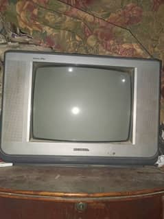 NOBEL TV