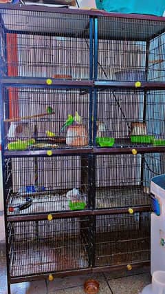 parrot cage for sale, 8 portion cage, bird cage , pinjra,