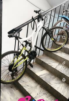 Jump bicycle white or green colour good quality jumper bicycle