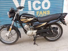 Yamaha YBZ 125 Model 2019(Genuine Condition)