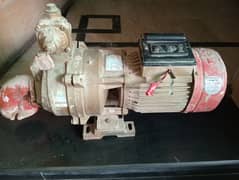 Asli Punjab Double Impeller Pump for sale