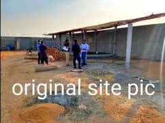 Cattle farm
