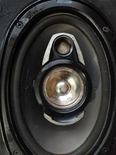 Genuine Pioneer Speakers with Box