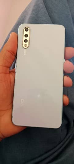 vivo