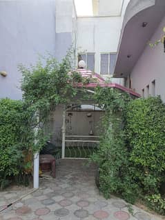 Canopy