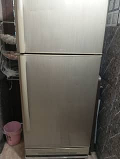 pel refrigerator