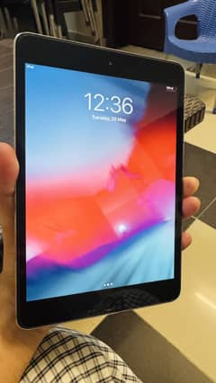 Apple I pad Mini 2