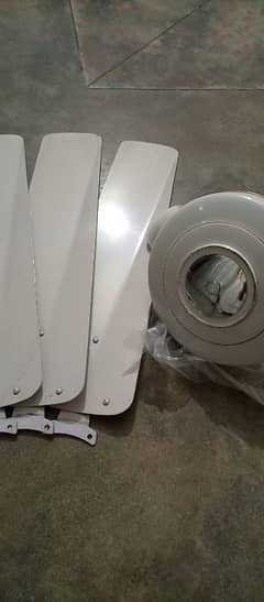 Ceiling Fan