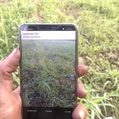 LG G7 THINQ