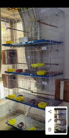 birds cage for sale
