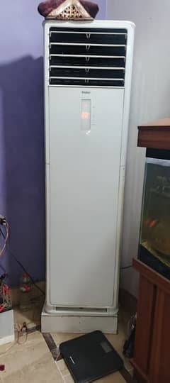 Haier